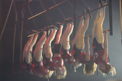 06-trapeze2