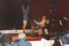 1989-clownschinoisw